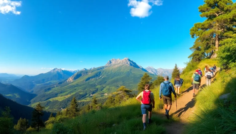 Guided hike in scenic nature with experienced guides leading a group along a trail surrounded by lush forest and mountain views.
